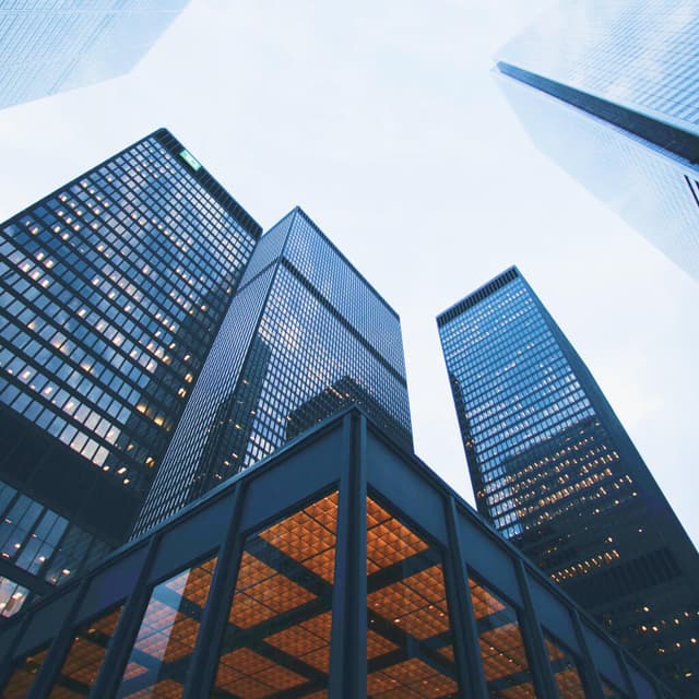 Social insurance services